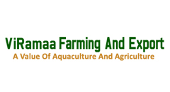 Website Designing in Kalyan Mumbai