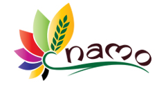 Website Designing in Kalyan Mumbai